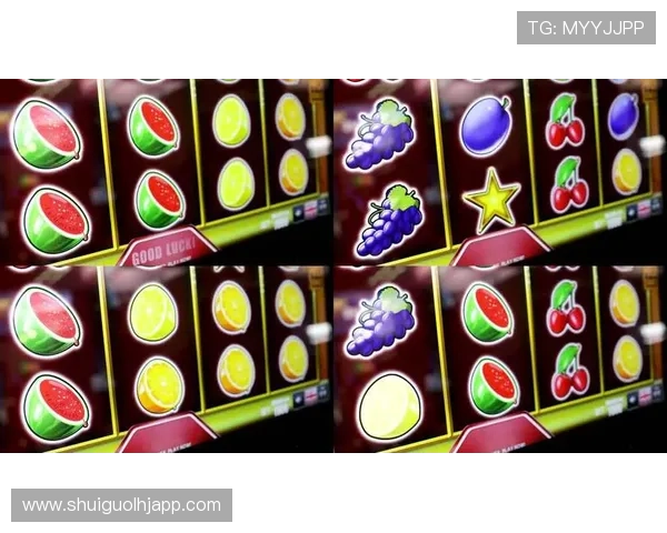 单机水果机老虎机游戏最新版本推荐带来更流畅的操作体验和丰富的游戏内容