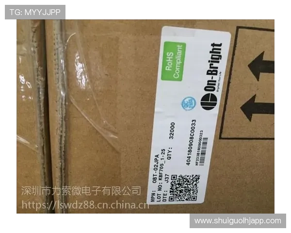 昂宝电子上市后业绩表现与市场反应，投资者应关注的关键财务指标分析